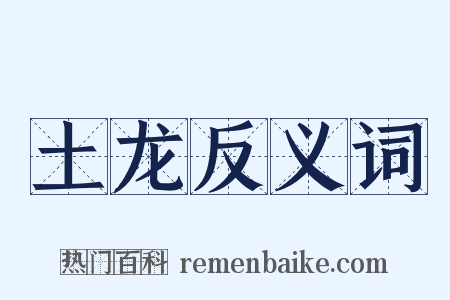 土龙反义词是什么意思的图片